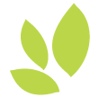 FH Insurance